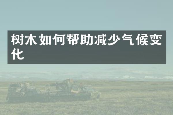 树木如何帮助减少气候变化