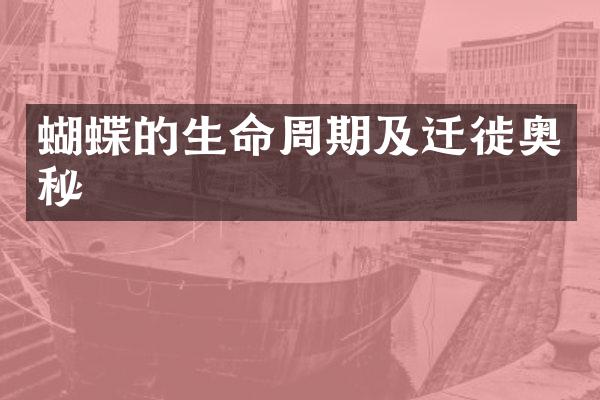 蝴蝶的生命周期及迁徙奥秘