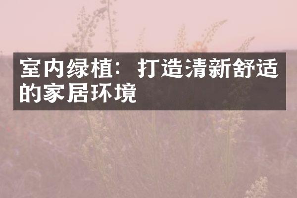 室内绿植：打造清新舒适的家居环境