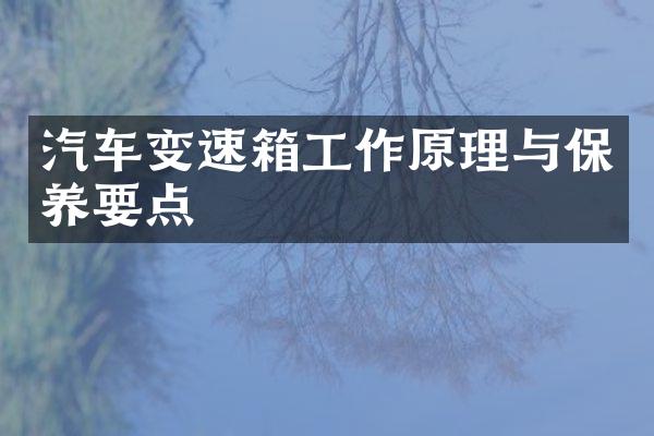 汽车变速箱工作原理与保养要点