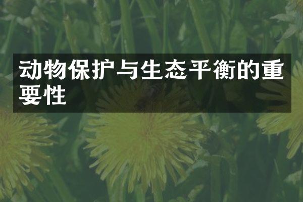 动物保护与生态平衡的重要性