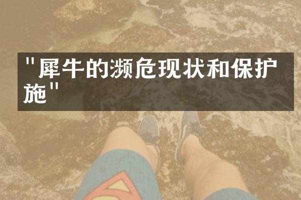 "犀牛的濒危现状和保护措施"