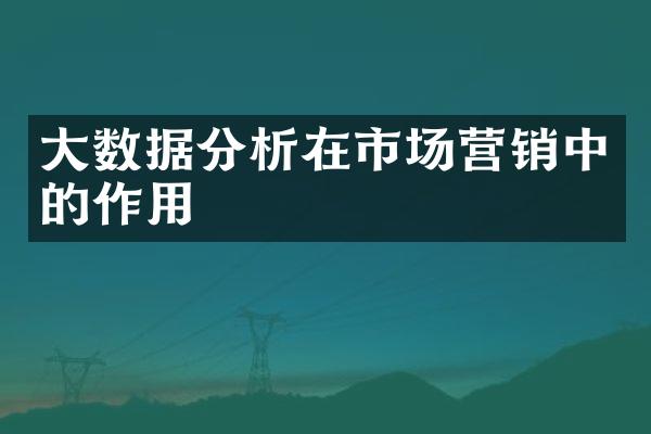 大数据分析在市场营销中的作用