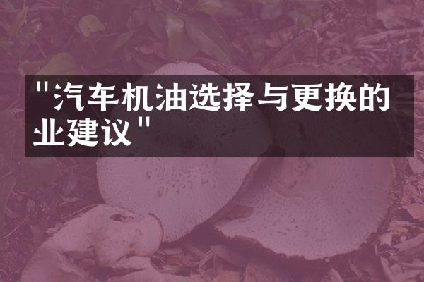 "汽车机油选择与更换的专业建议"