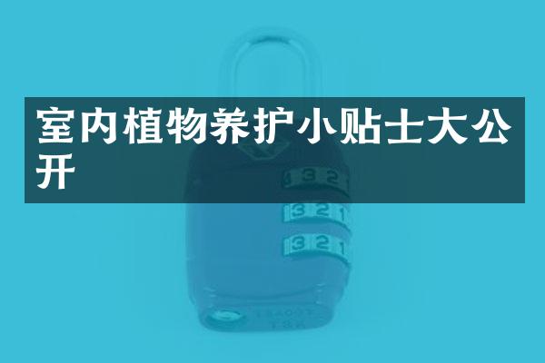 室内植物养护小贴士大公开
