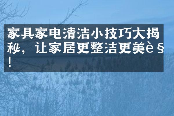 家具家电清洁小技巧大揭秘，让家居更整洁更美观！