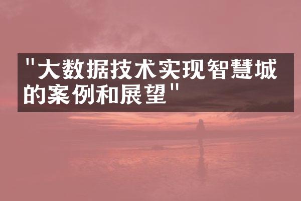 "大数据技术实现智慧城市的案例和展望"