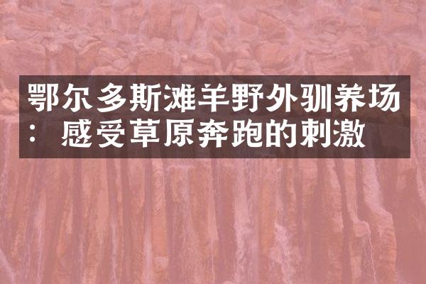 鄂尔多斯滩羊野外驯养场：感受草原奔跑的刺激