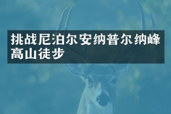 挑战尼泊尔安纳普尔纳峰高山徒步