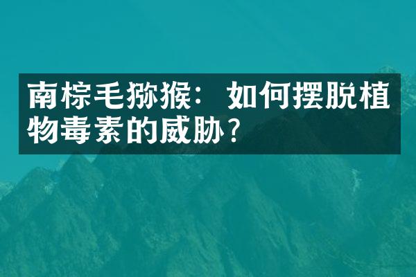 南棕毛猕猴：如何摆脱植物毒素的威胁？