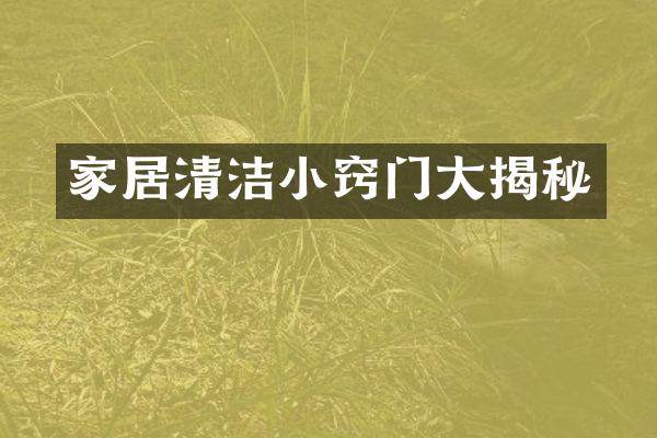 家居清洁小窍门大揭秘