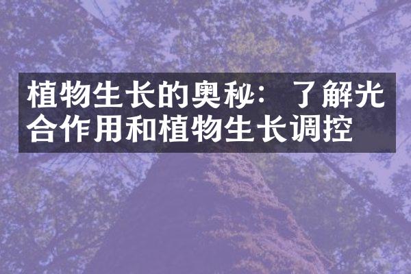 植物生长的奥秘：了解光合作用和植物生长调控