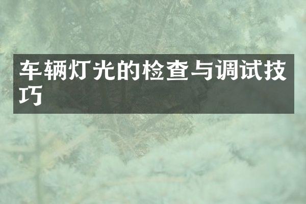 车辆灯光的检查与调试技巧