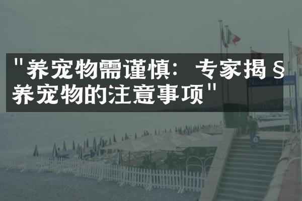 "养宠物需谨慎：专家揭秘养宠物的注意事项"