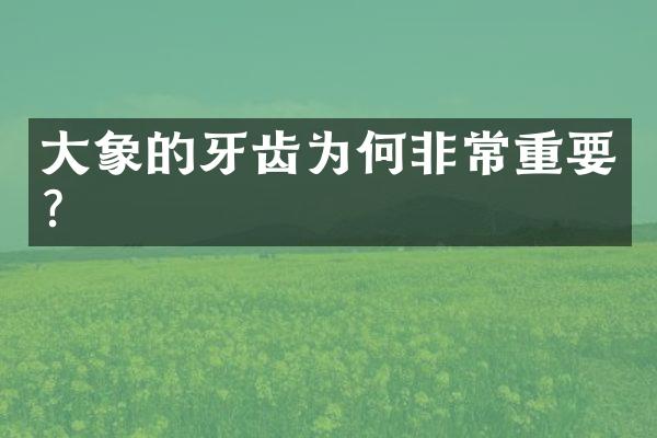 大象的牙齿为何非常重要？