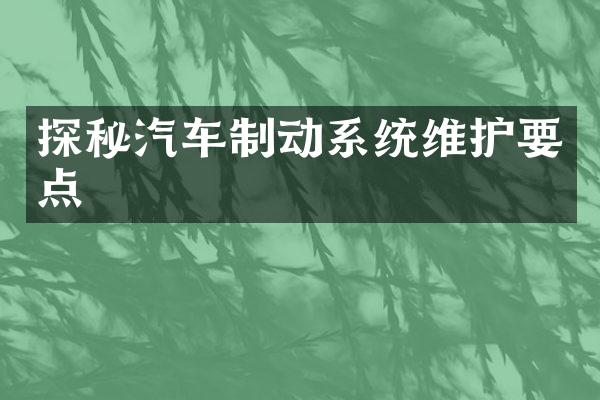 探秘汽车制动系统维护要点