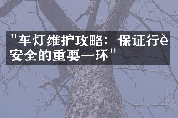 "车灯维护攻略：保证行车安全的重要一环"