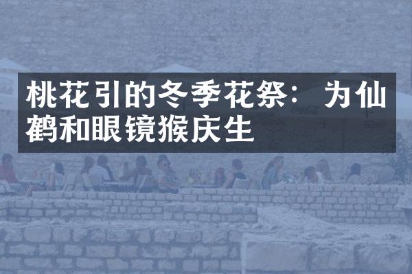 桃花引的冬季花祭：为仙鹤和眼镜猴庆生