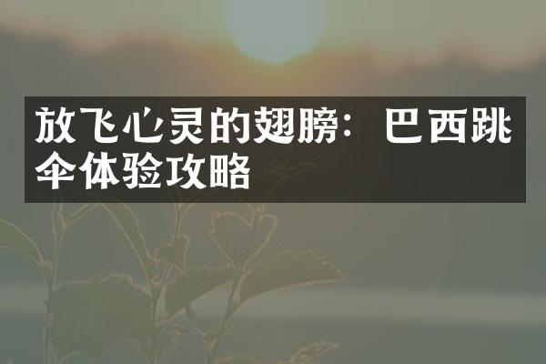 放飞心灵的翅膀：巴西跳伞体验攻略