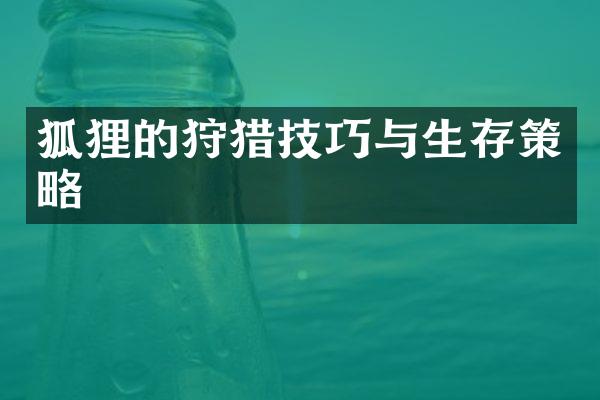 狐狸的狩猎技巧与生存策略