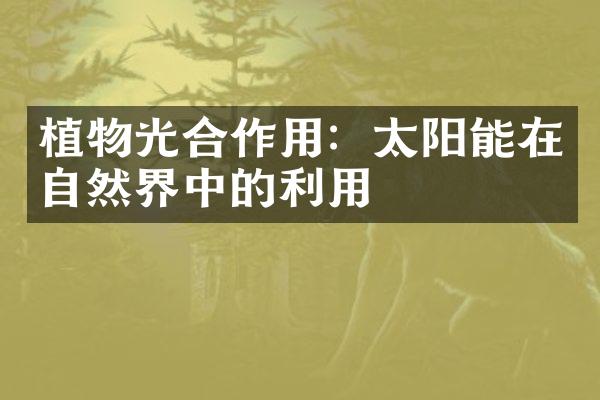 植物光合作用：太阳能在自然界中的利用