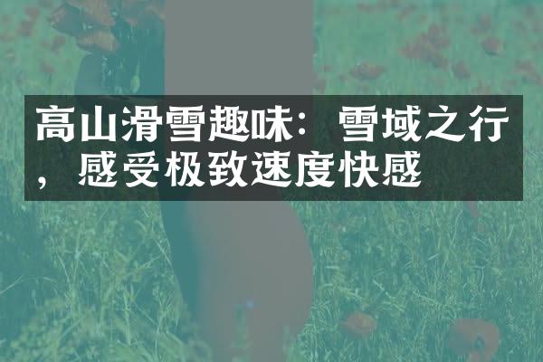 高山滑雪趣味：雪域之行，感受极致速度快感