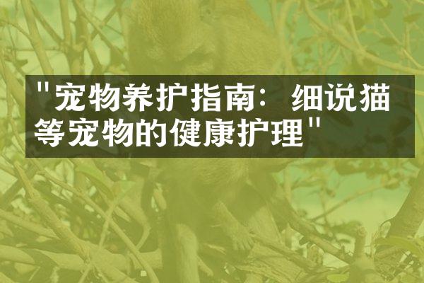 "宠物养护指南：细说猫狗等宠物的健康护理"