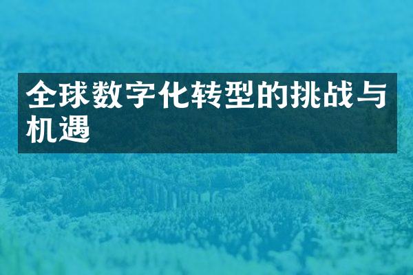 全球数字化转型的挑战与机遇