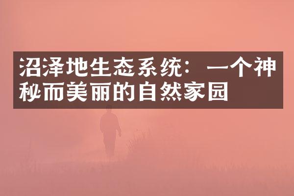 沼泽地生态系统：一个神秘而美丽的自然家园