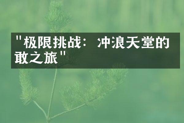 "极限挑战：冲浪天堂的勇敢之旅"