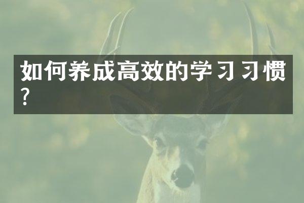如何养成高效的学习习惯？
