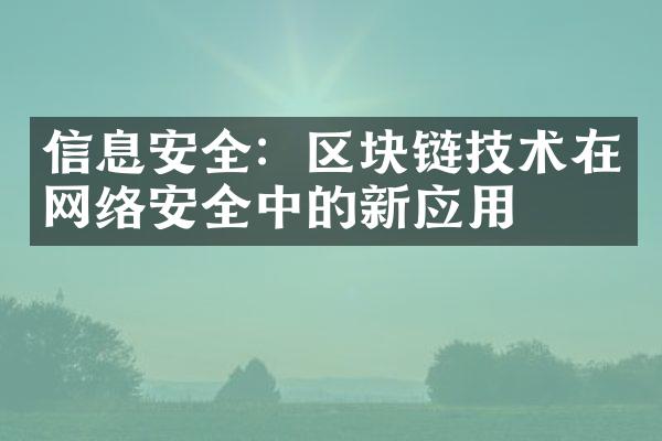 信息安全：区块链技术在网络安全中的新应用
