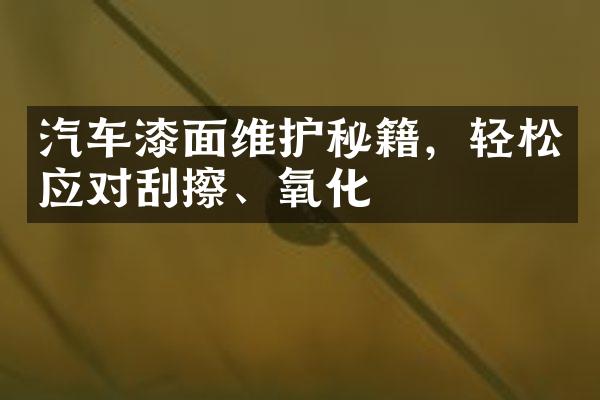 汽车漆面维护秘籍，轻松应对刮擦、氧化