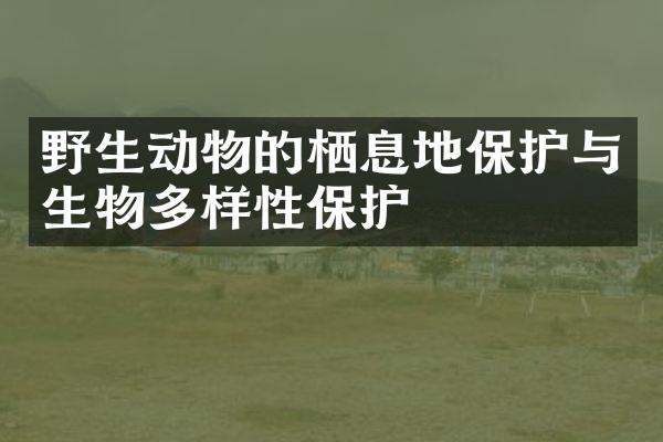 野生动物的栖息地保护与生物多样性保护