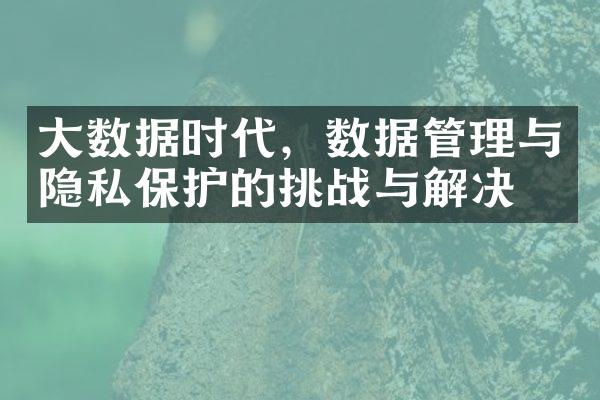 大数据时代，数据管理与隐私保护的挑战与解决