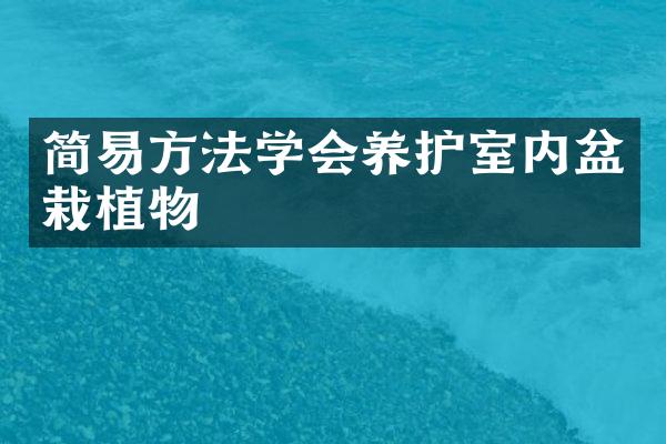 简易方法学会养护室内盆栽植物