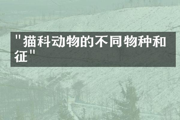 "猫科动物的不同物种和特征"