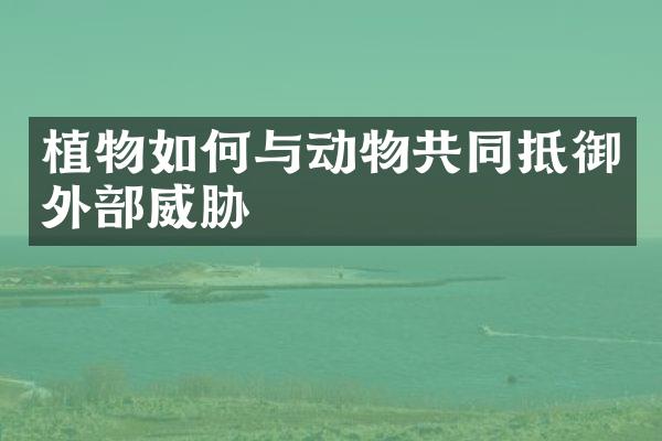 植物如何与动物共同抵御外部威胁