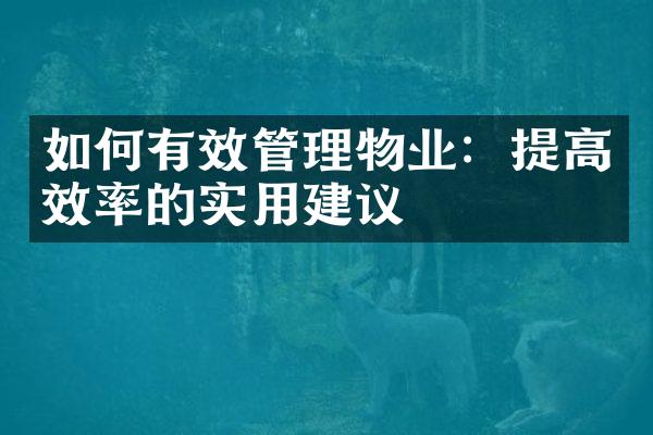 如何有效管理物业：提高效率的实用建议