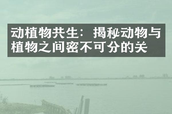 动植物共生：揭秘动物与植物之间密不可分的关系