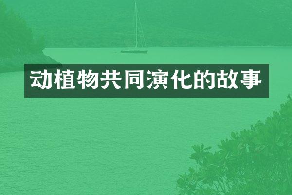 动植物共同演化的故事
