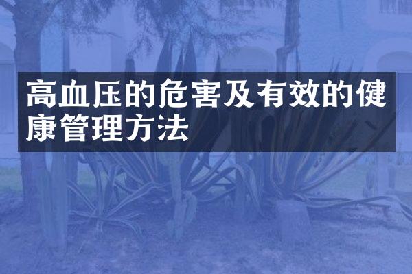 高血压的危害及有效的健康管理方法