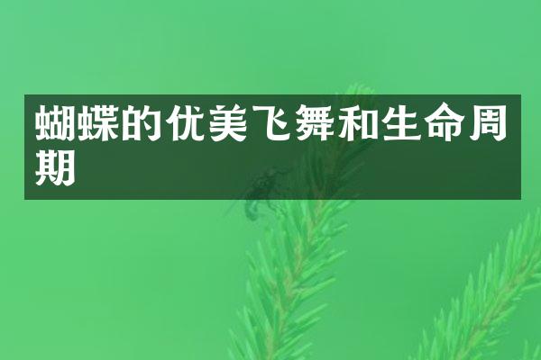 蝴蝶的优美飞舞和生命周期