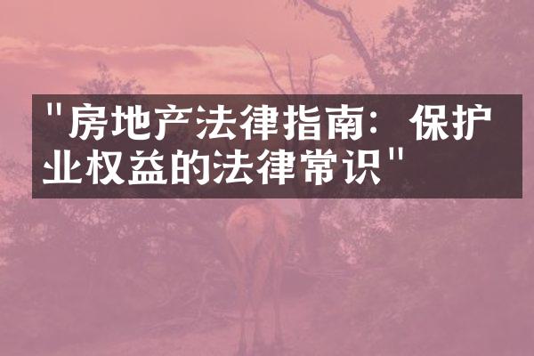 "房地产法律指南：保护物业权益的法律常识"