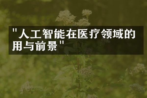 "人工智能在医疗领域的应用与前景"