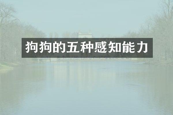 狗狗的五种感知能力