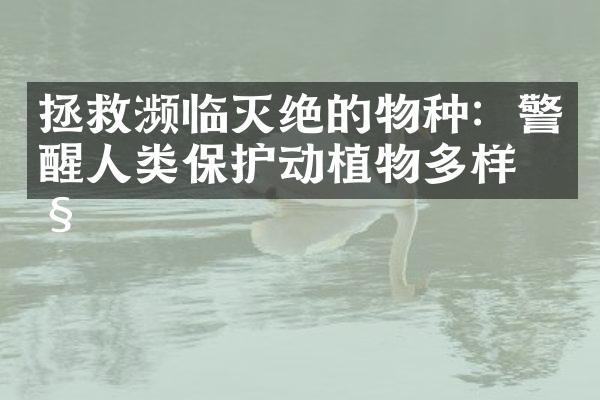 拯救濒临灭绝的物种：警醒人类保护动植物多样性