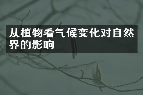 从植物看气候变化对自然界的影响