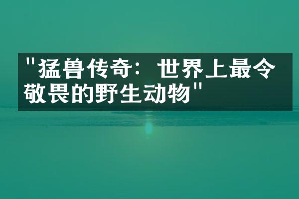 "猛兽传奇：世界上最令人敬畏的野生动物"