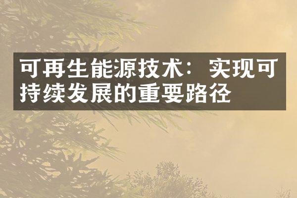 可再生能源技术：实现可持续发展的重要路径